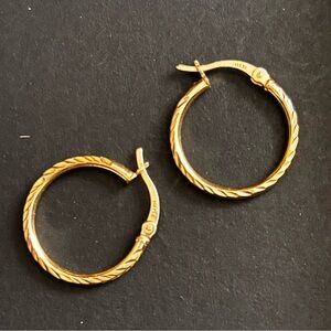 Elegant Gold Hoop Earrings